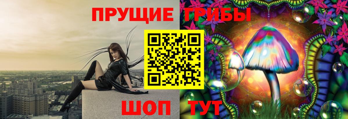 Янаул  Псилоцибиновые грибы Psilocybine cubensis  Вход с VPN 